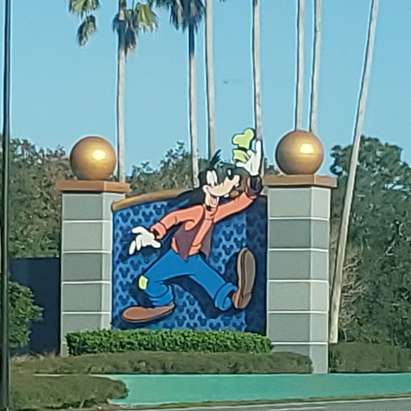 Pop up live show FLS - Picture 3 of 16